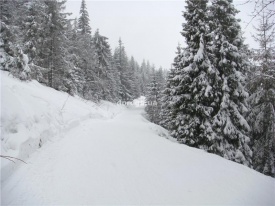 Открыть категорию